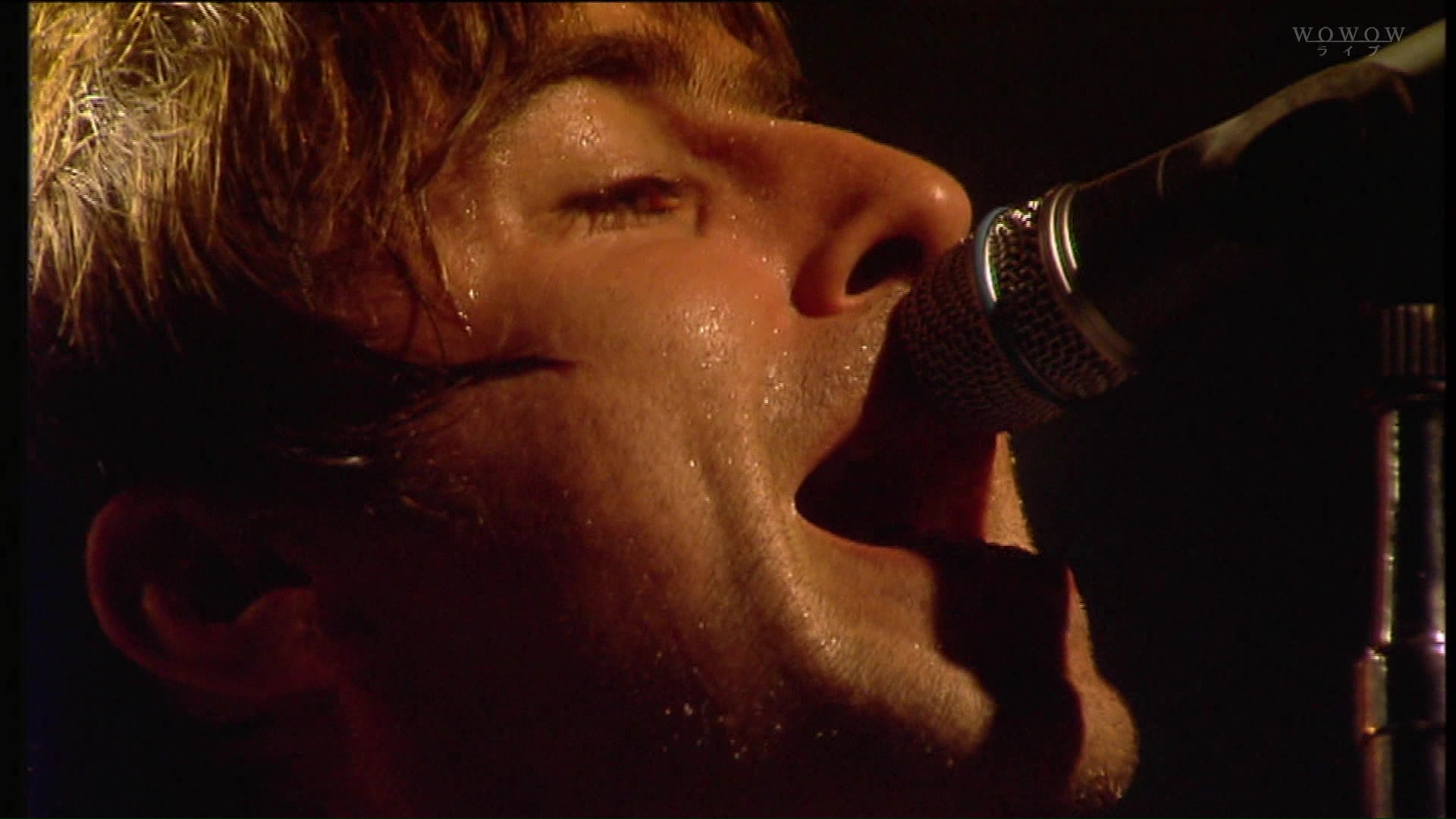 Oasis at '.$OASIS_SHOW_VENUE.' - '.$OASIS_SHOW_DATE.'