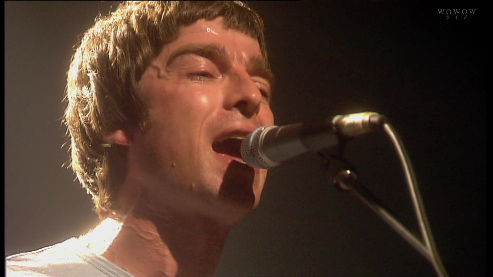 Oasis at '.$OASIS_SHOW_VENUE.' - '.$OASIS_SHOW_DATE.'